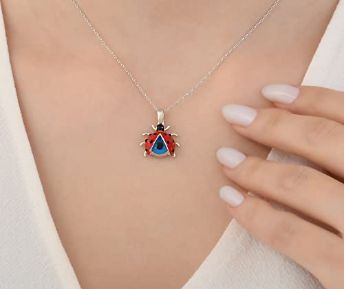 MYSTIC JEWELS By Dalia - 925 Sterling Silver Pendant with Red Ladybug and Crystal Evil Eye for Protection and Good Luck, Kids, Girls